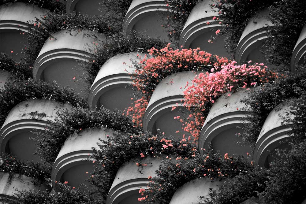 Abogado experto en Protección de datos