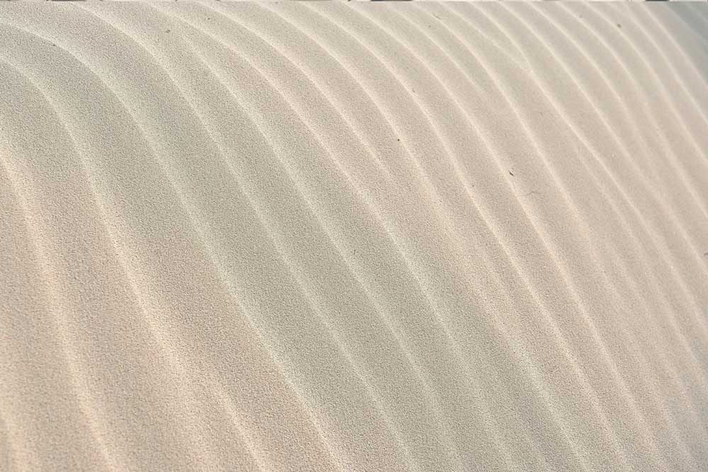 Abogado especialista en recurso de casación